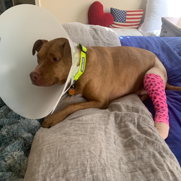 Meet your Posher, Tracey - Picture 7 of 13